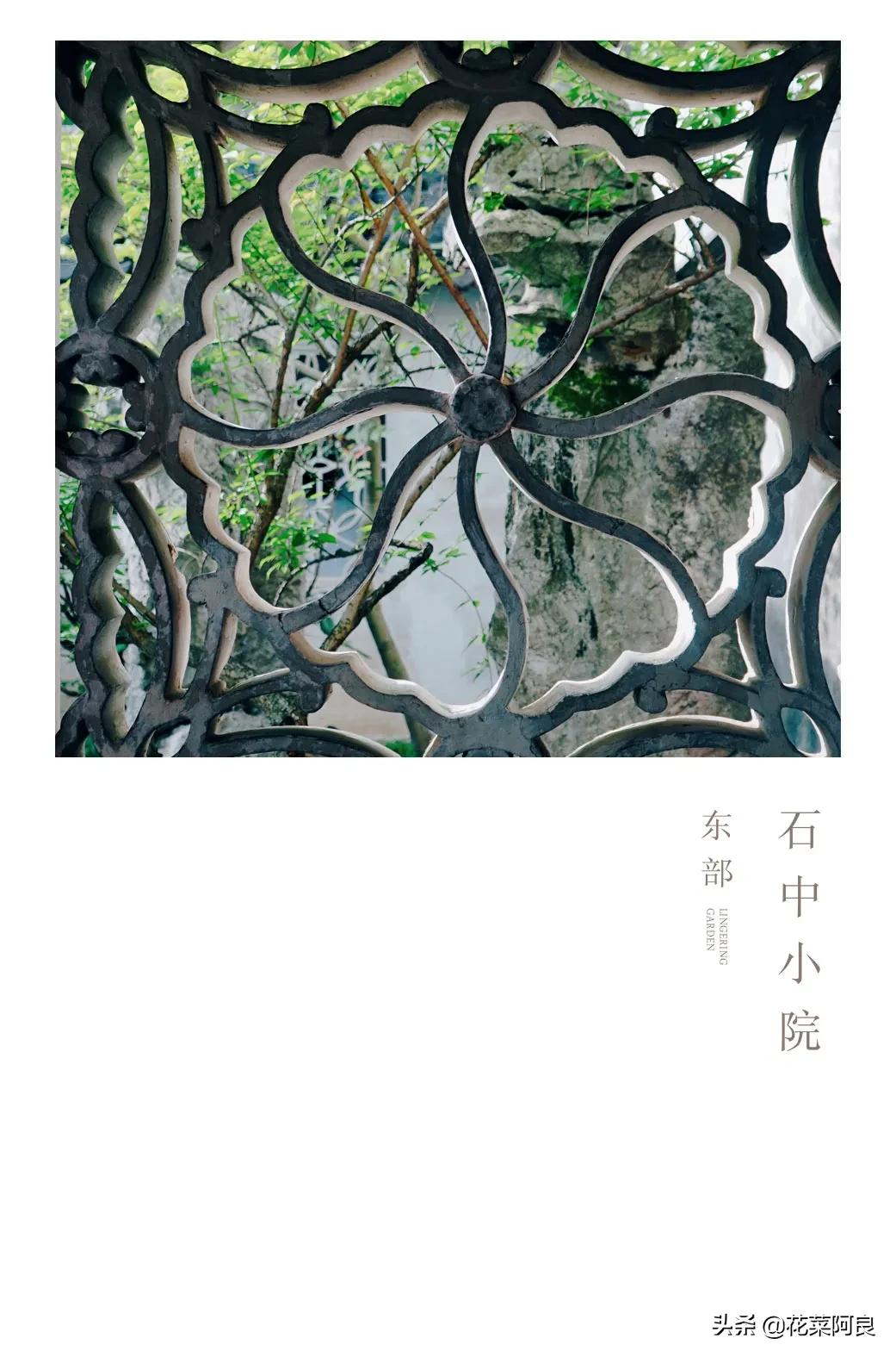 留园拙政园哪个风景好,留园和拙政园