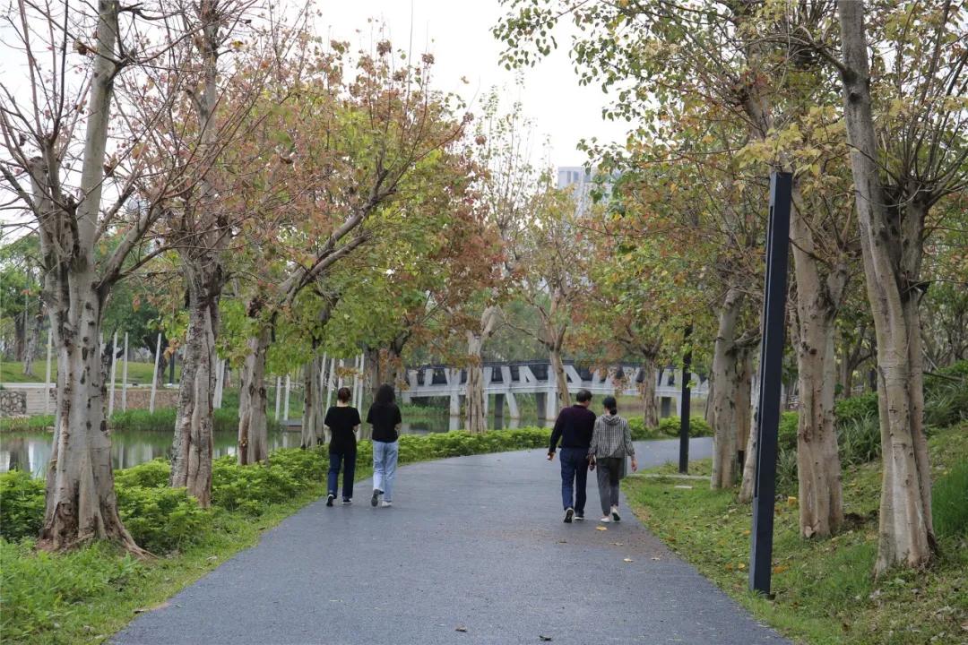 东莞可能成为超大城市吗,东莞市荣升