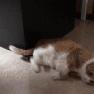 刘亦菲从清纯小龙女到硬汉花木兰,从洗头妹到影后的小宋佳