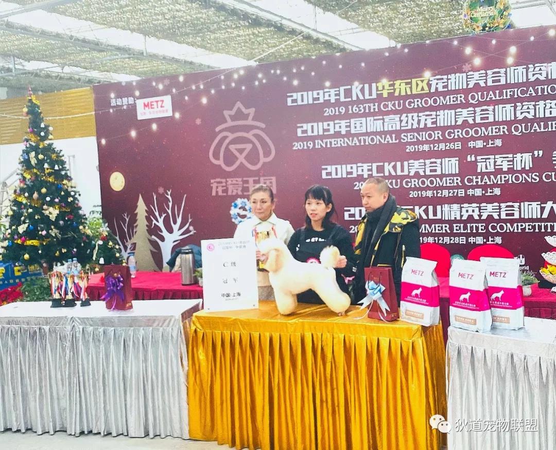 深圳宠物美容培训学校排名,壹择宠物美容培训学校