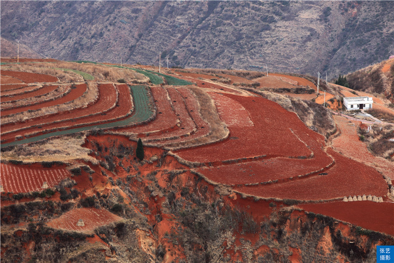 云南红土地共有几个景点,最美云南之东川红土地