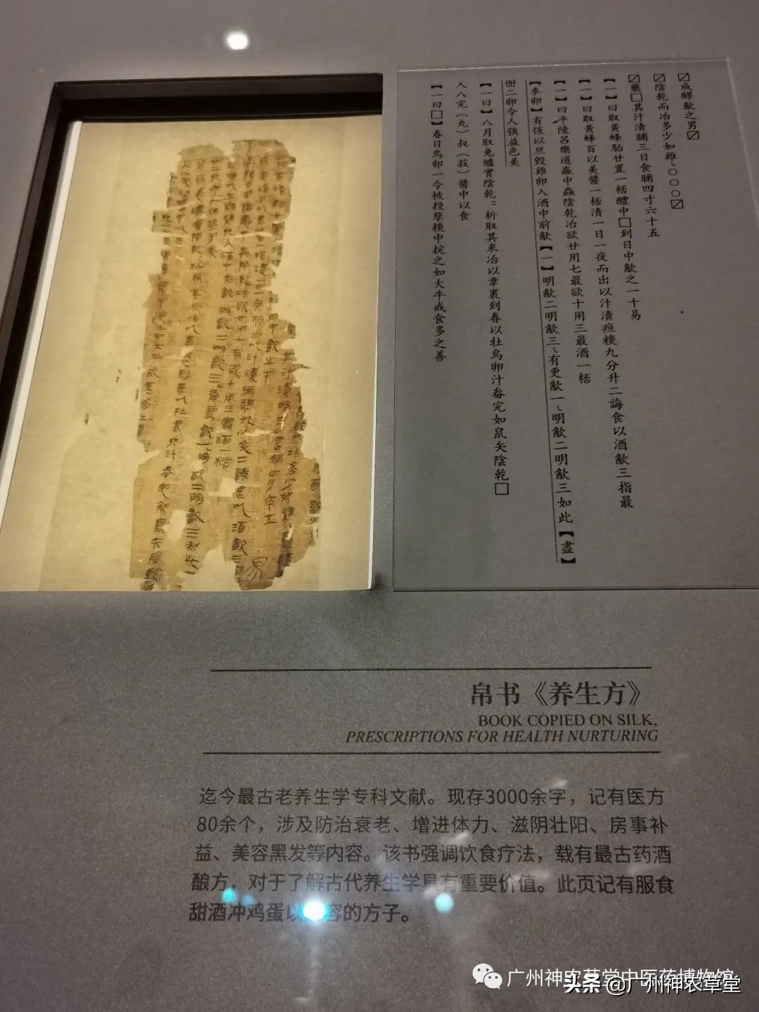 艸堂｜传说中可以挂太阳的树，草堂有