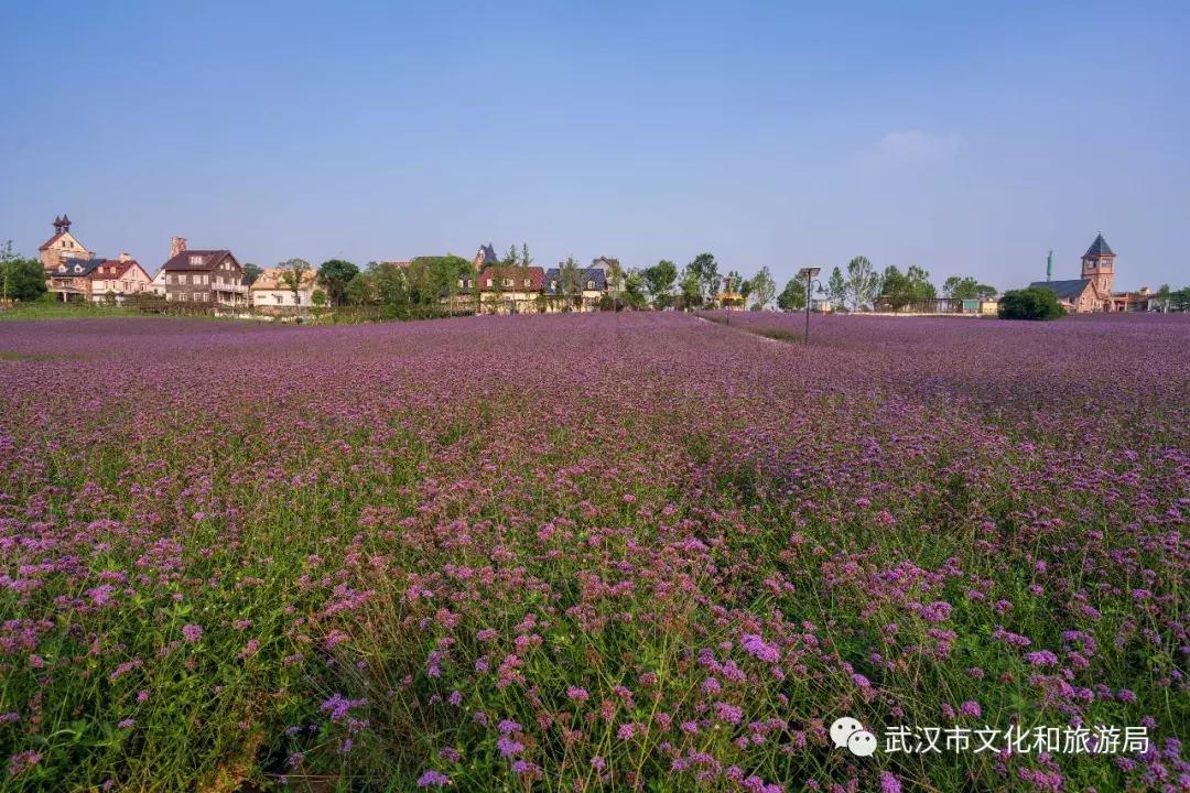 武汉国庆旅游攻略文案,武汉文旅国庆