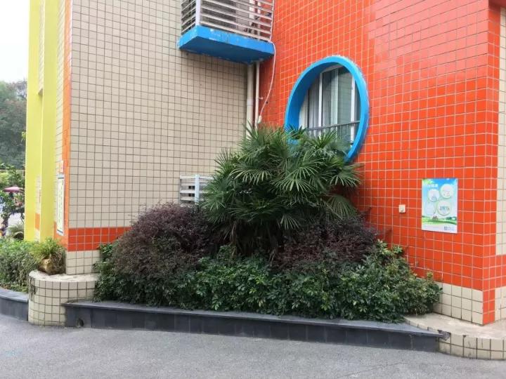 4.13重庆逐梦歌乐山上的“巴学园”探索“世界级乡村幼儿园