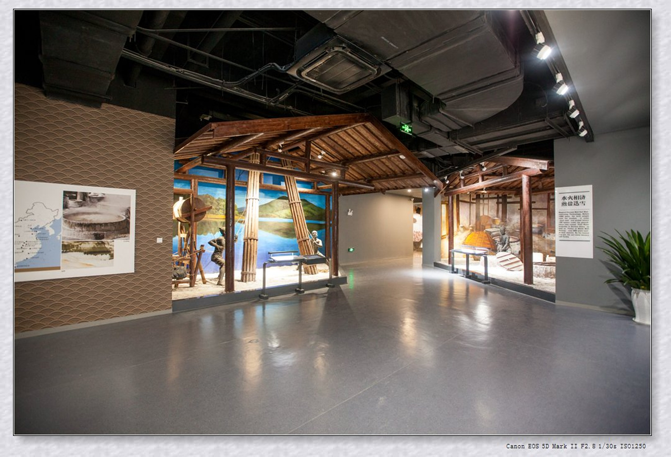 常州旅游东方盐湖城,骆驼之旅视频