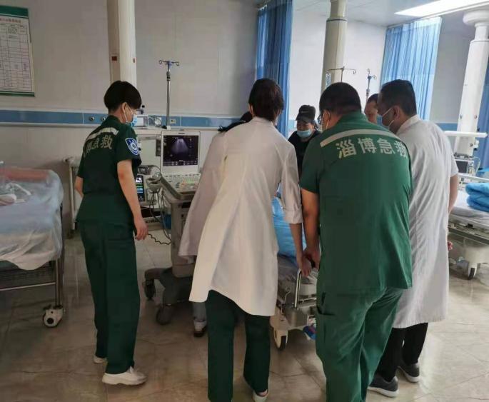 刺毛虫蛰了有多痛,刺蛾紫姬蜂与刺毛虫