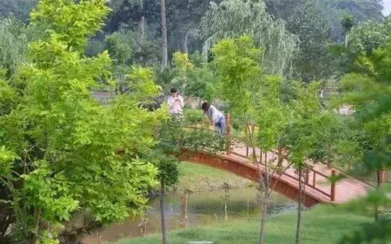 乐亭美景,乐亭小众美景