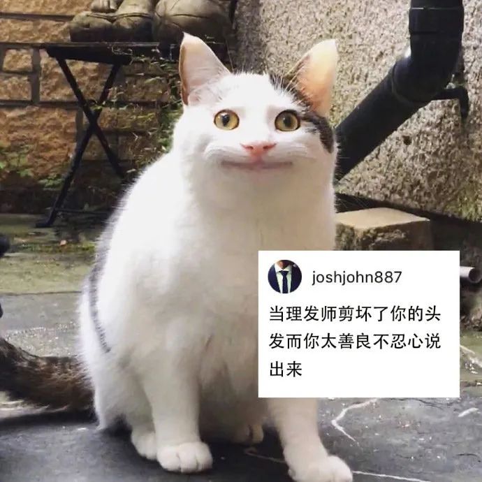 老实人要懂冷漠,老实人要如何学会说话
