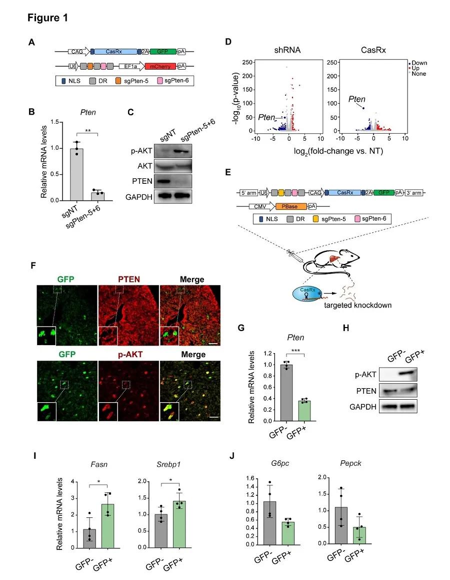 中科院神经所好不好,中科院神经所复试