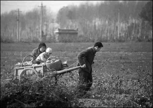 童谣倒放,童谣的标点符号