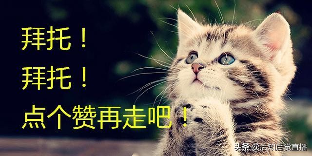 股票中的现手表示什么意思,股票总手什么意思通俗易懂
