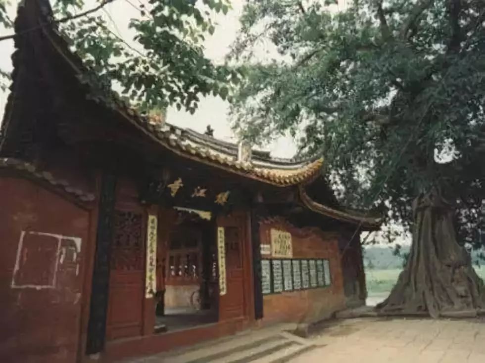 漫步成都街头的文案,漫步成都