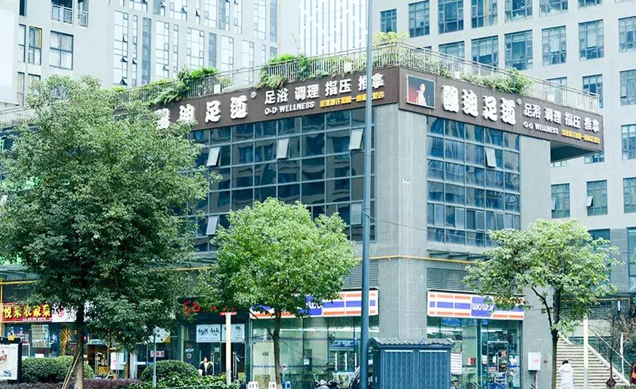 “桃花源”马杀鸡，等了15年终于来成都啦！