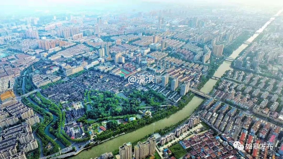 什么是如皋蝶尾,如皋的特点