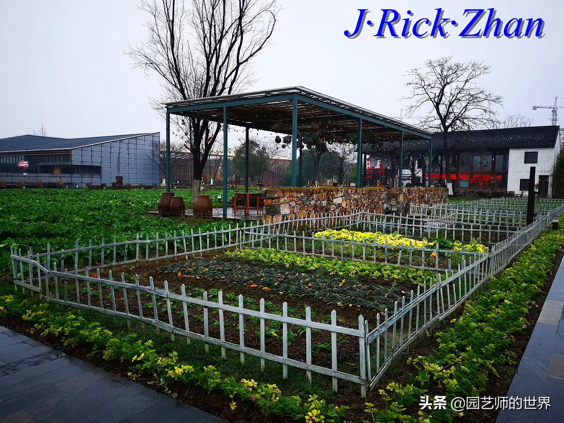 园艺研学报告,园艺园林研学