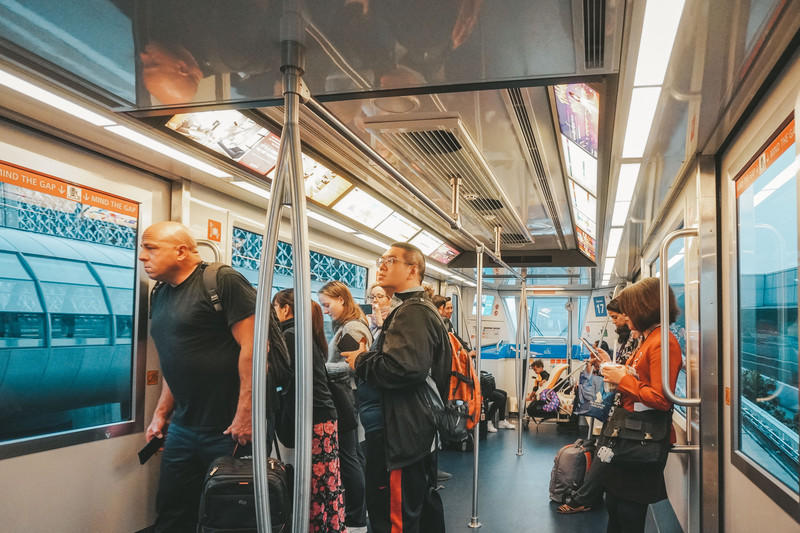 一人一猫环游,一人一猫旅行