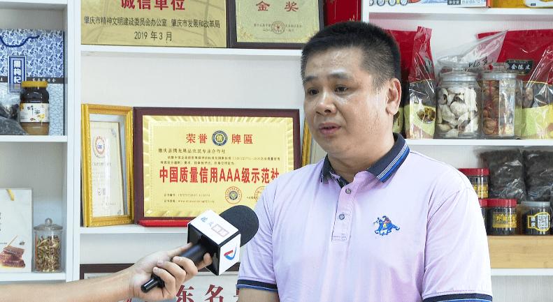 种20亩新会柑一年赚多少钱,回乡创业种植柑橘