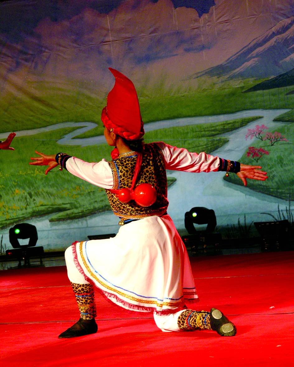 胡腾舞的舞蹈特征,民族舞胡腾