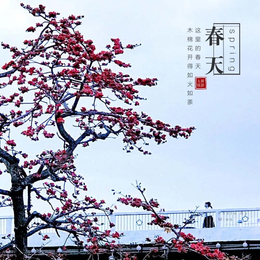 惠州亮灯为武汉加油,惠州武汉加油