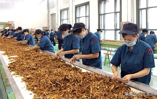 烟厂待遇究竟好不好,烟草公司待遇好么