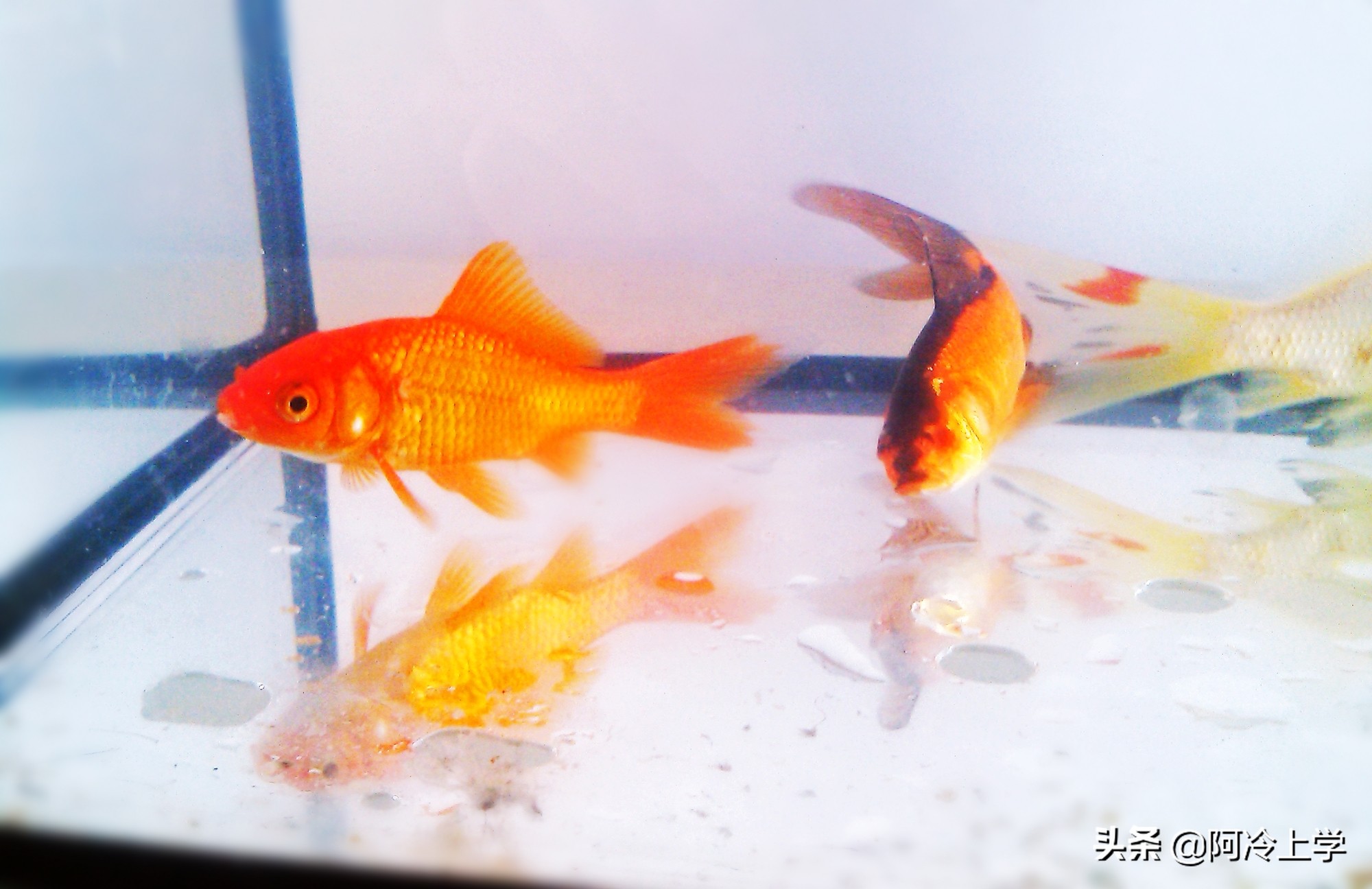 学生反义词不会做，不用查手机和电脑，帮你想办法