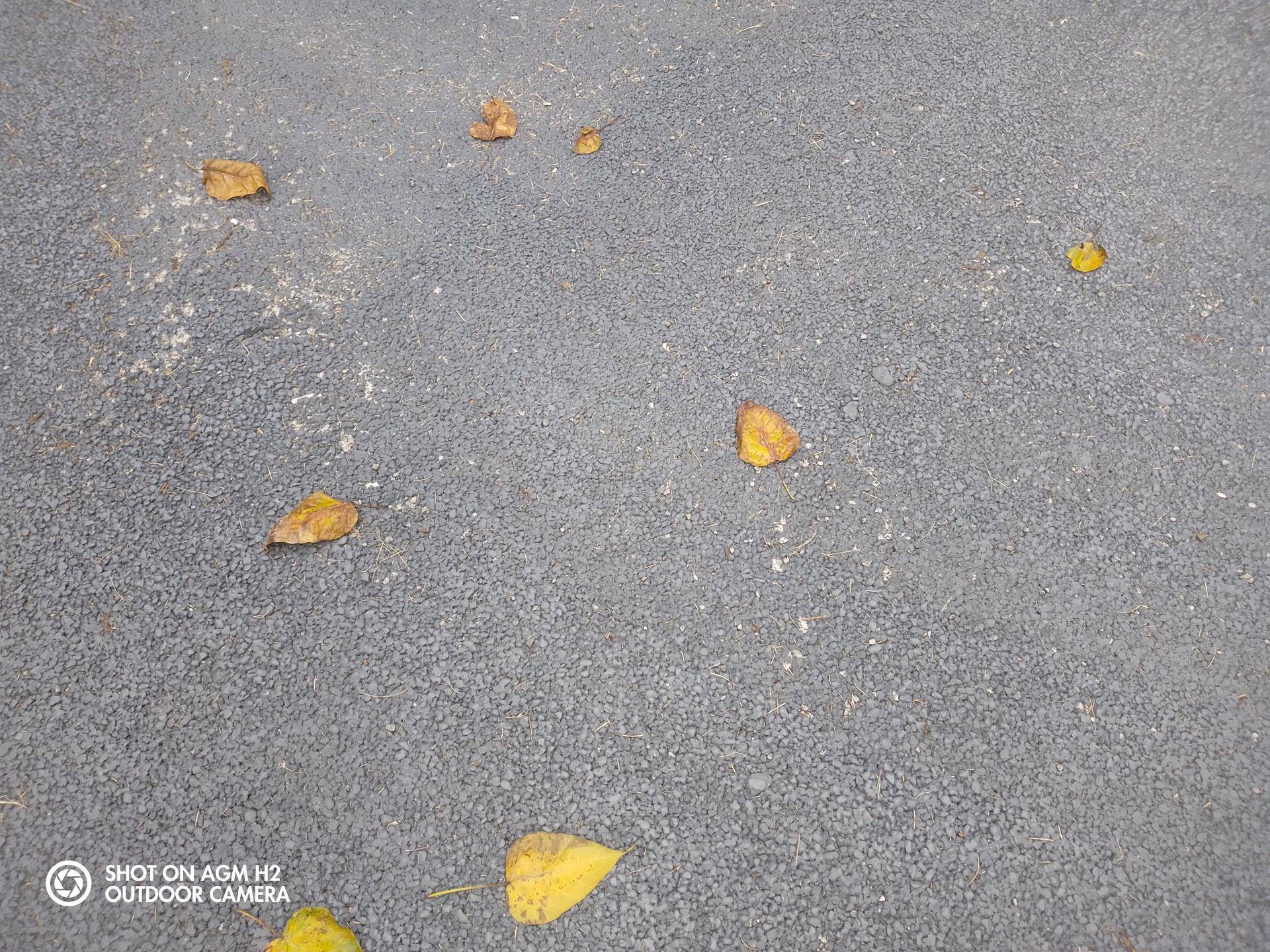 agmm6老人机测评,agm老人机值得买吗