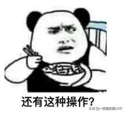 闭眼买的灯具,闭眼买不出错的车