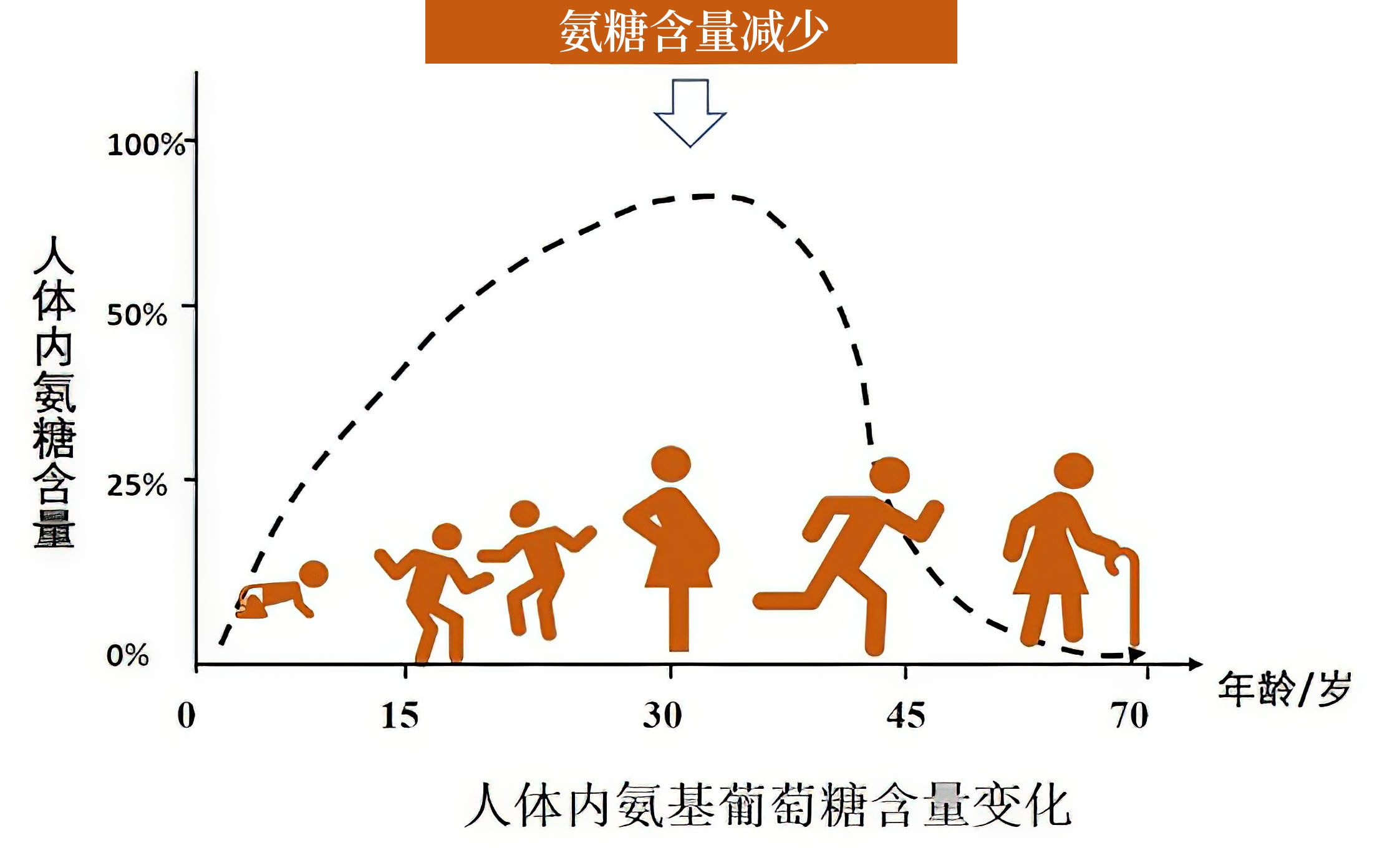 氨糖软骨素治关节怎么样,骨关节病用的硫酸软骨素