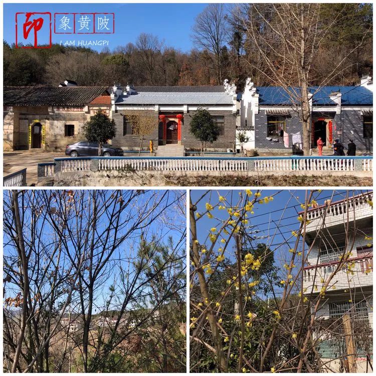 围城里的篱笆,围城里的小镇