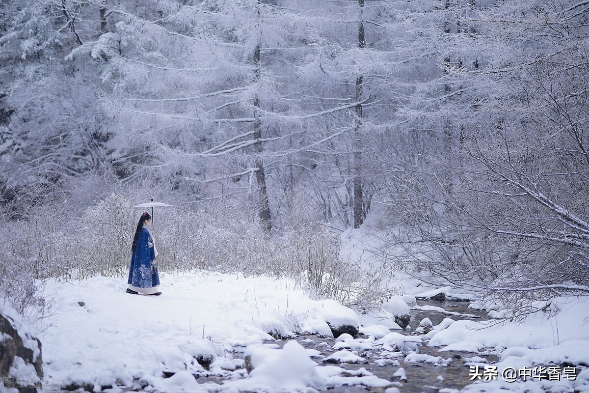 宁静同款香皂洗头发,宁静用什么牌子的肥皂洗头