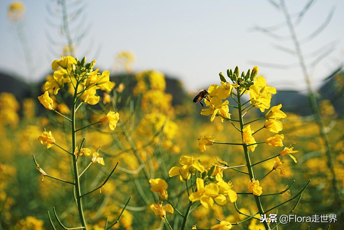我们的侣行还在拍吗,我们的侣行2019破冰之旅