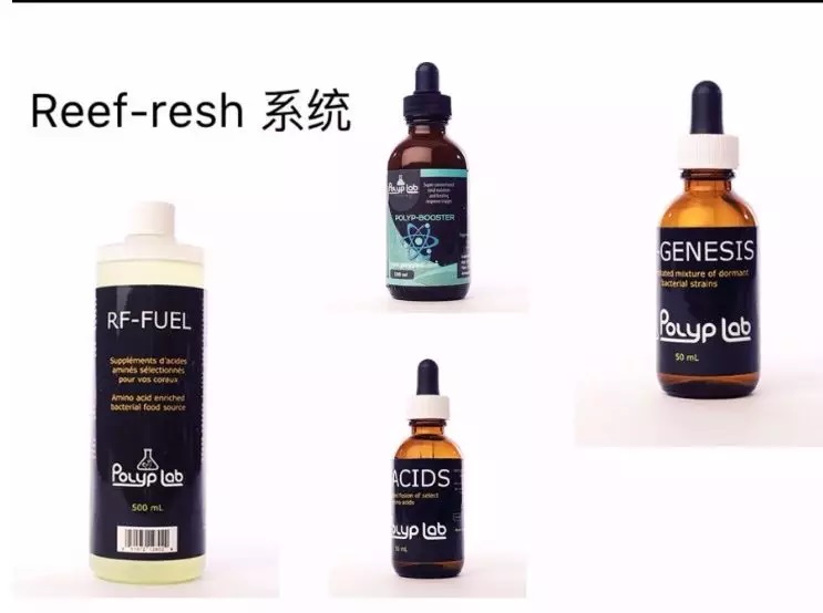 海缸刚开缸怎么饲养,海缸np双零珊瑚会白化吗