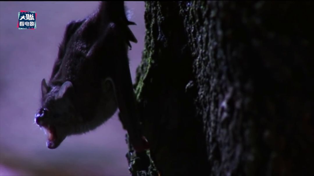 从地理视角看传染病电影,传染病科普视频动画