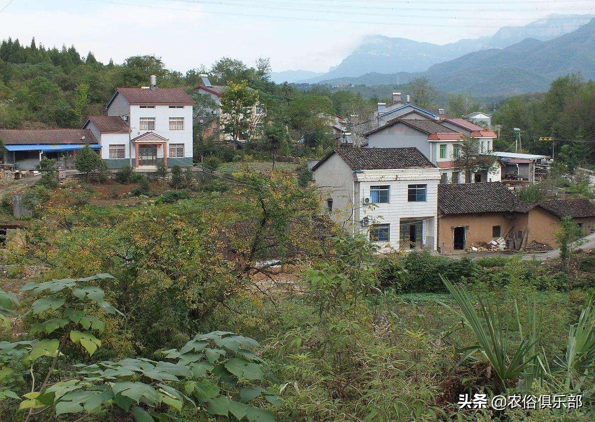 户口在娘家可以分到婆家的地吗,外嫁女在娘家分户无宅基地