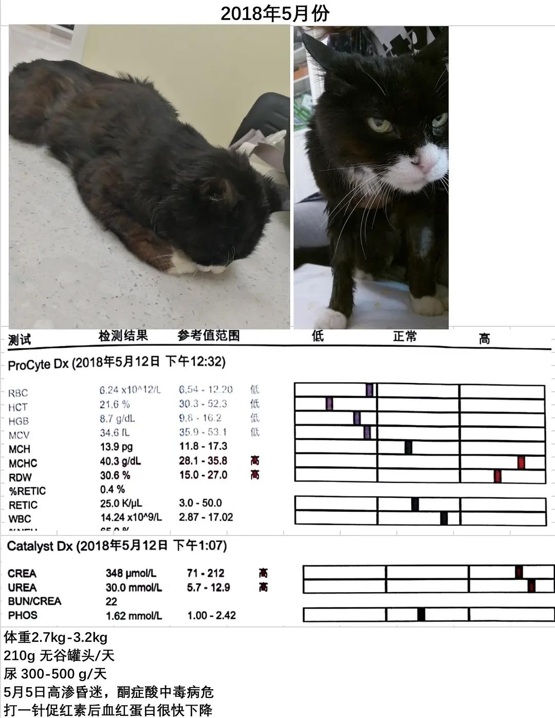 糖尿病患者胆囊炎胰腺炎同时出现,胆囊结石胰腺炎糖尿病