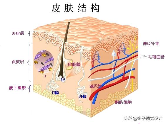 牙膏可以洗脸吗小妙招,牙膏可以洗脸