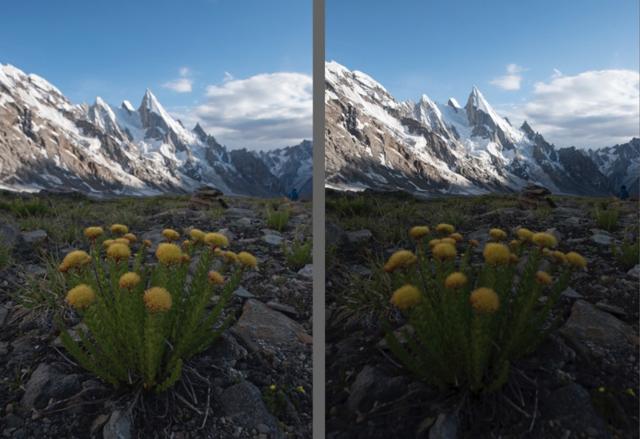 摄影大师是如何拍摄出好的照片,摄影大师说随心才能拍出好照片