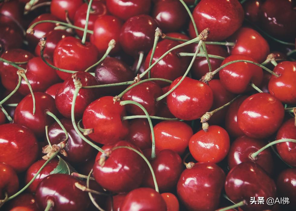 狗哪些食物不适合吃,不适合狗狗的食物