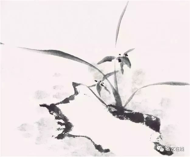 霍春阳兰花画法视频教程,霍春阳兰花绘画视频