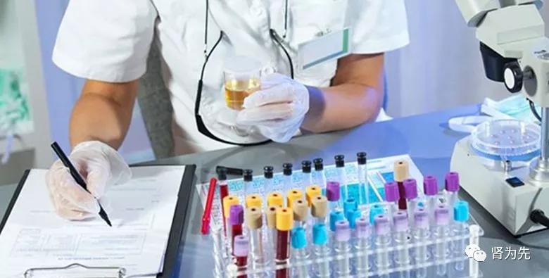 如何保护肾不让血肌酐升高,肾友如何预防高钾血症