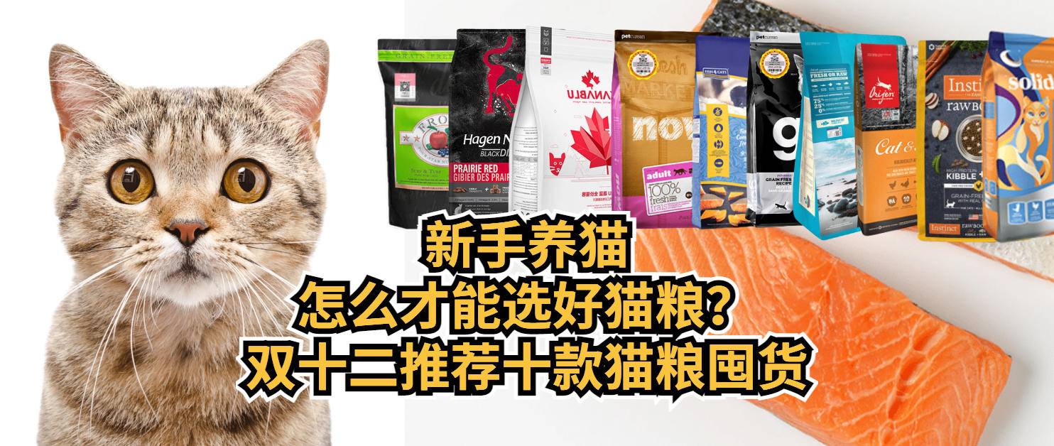 养猫入门猫粮推荐哪种,新手养猫攻略6款高品质猫粮推荐