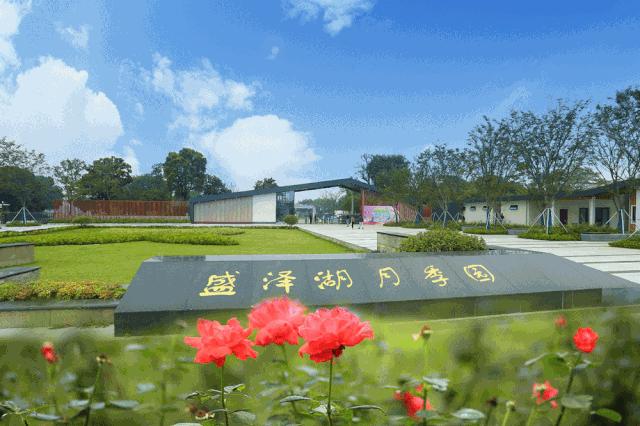 苏州体育馆免费开放,苏州市文化馆开馆时间