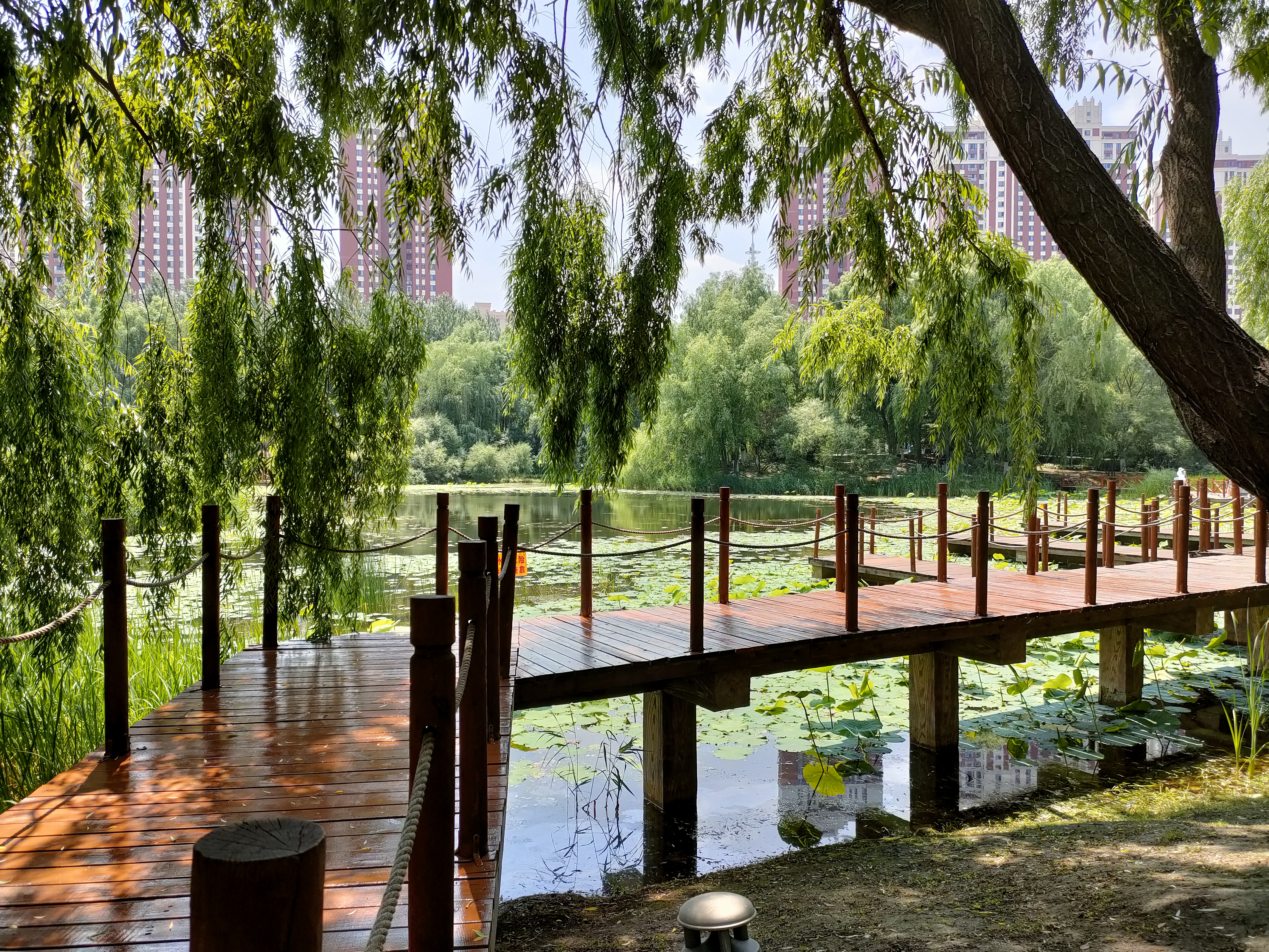 自驾游万绿湖景区门票,自驾游万绿湖旅游攻略大全