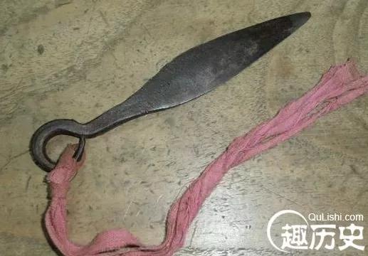 票字家族：骠、镖、标（標）、鳔、膘，​鱼儿之所以能在水里沉浮