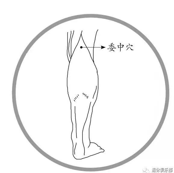 洗澡对肾脏的帮助,洗澡搓什么穴位好