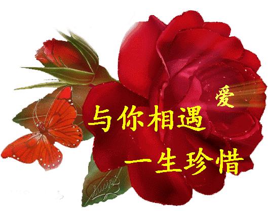 致老同学的年末感言,把最美好的祝福送给老同学