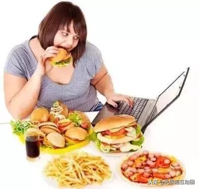 器官葬礼短片解析,器官的葬礼完整版解说