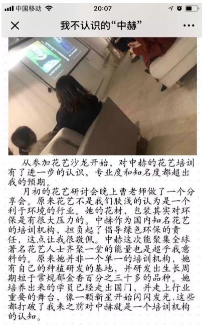 中赫时尚花艺趋势,中赫时尚花艺沙龙系列