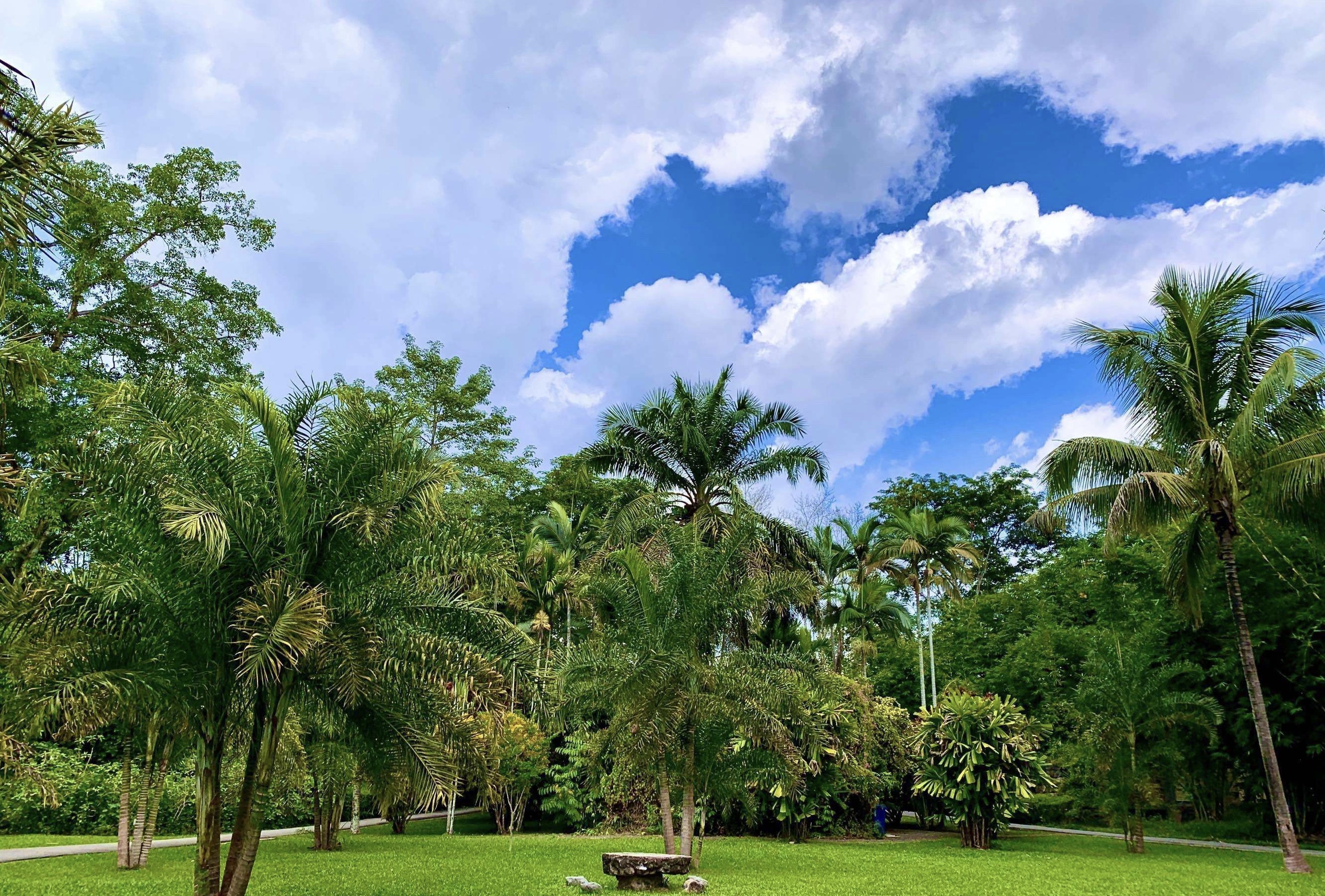 云南旅游攻略最佳线路洱海,到云南旅游必去景点推荐