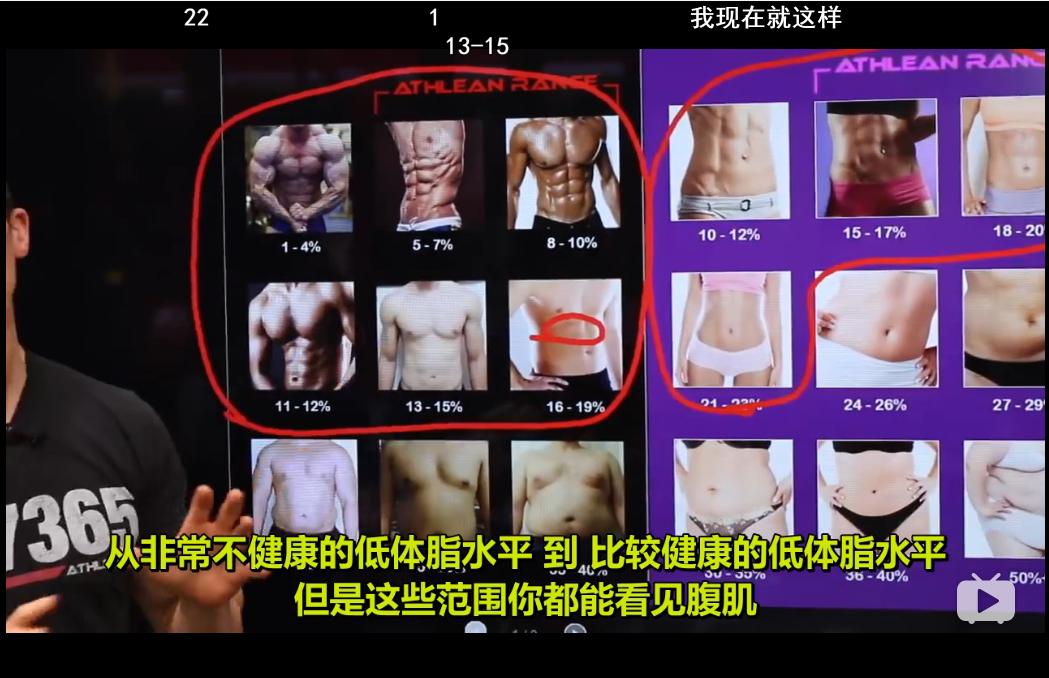 龙争虎斗中李小龙阐释了什么,龙争虎斗李小龙武术最高境界